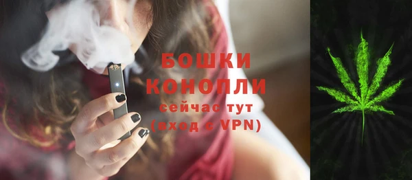 бошки Белокуриха