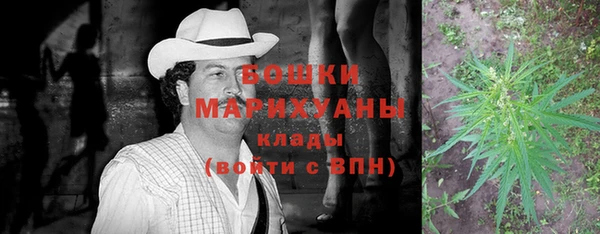 крисы Белоозёрский