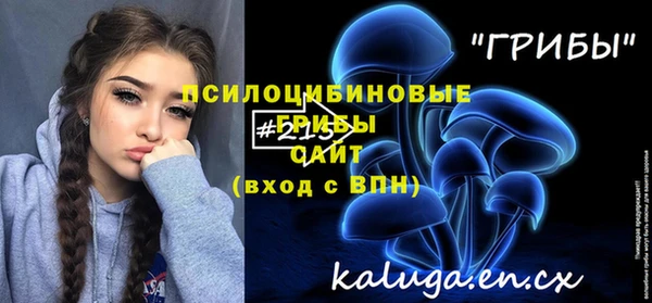 бошки Белокуриха