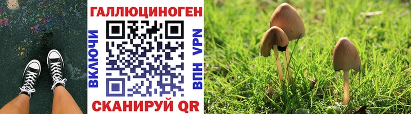 Галлюциногенные грибы мухоморы  Староминская 